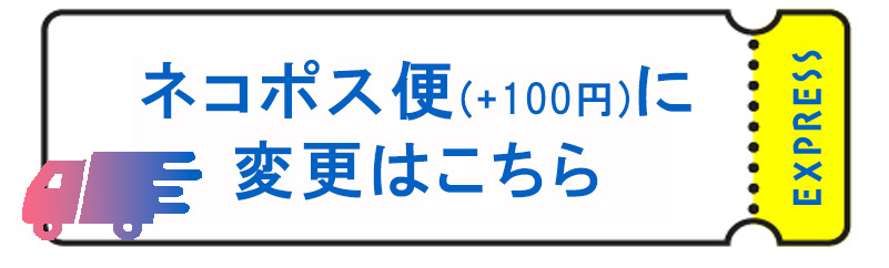 お名前シール ねいみー シンプルタイプ ２種類 【送料無料】